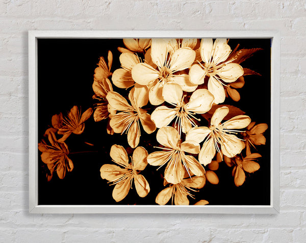 Cocoa Flowers Framed Print