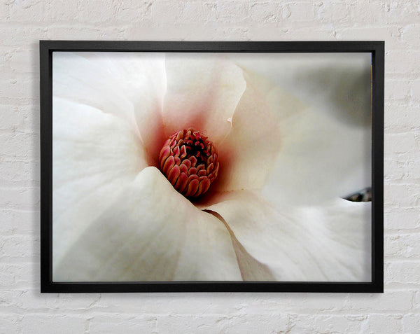 Soft Pink Centre Framed Print