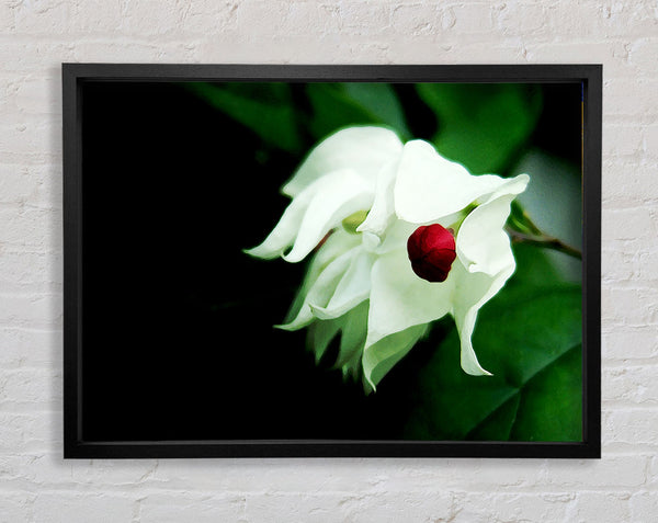 Red Ball Centre Framed Print