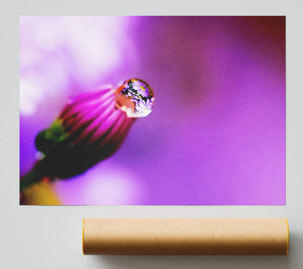 Purple Water Drop Reflection Poster