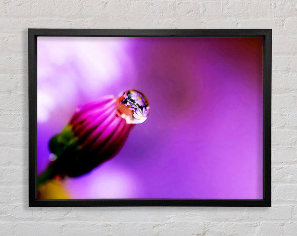 Purple Water Drop Reflection Framed Print