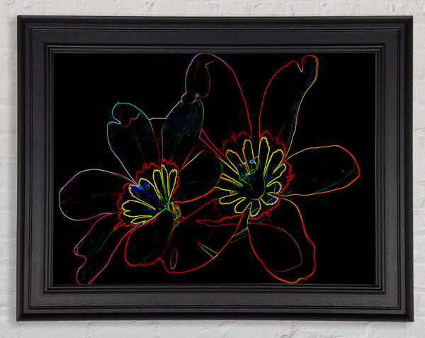 Abstract Neon Floral 38 Framed Print
