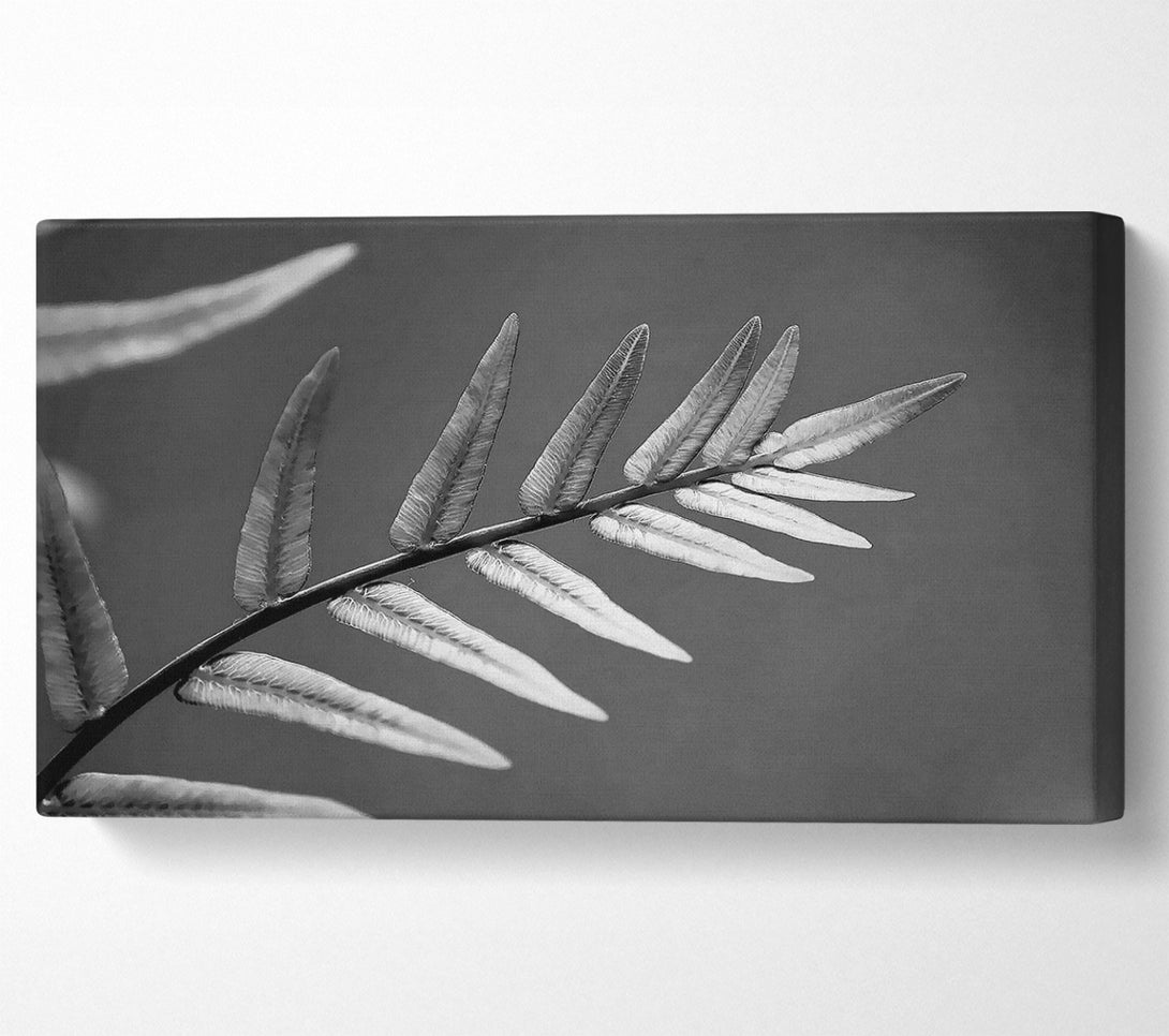  A Canvas Print of Grey Leaves Canvas Wall Art