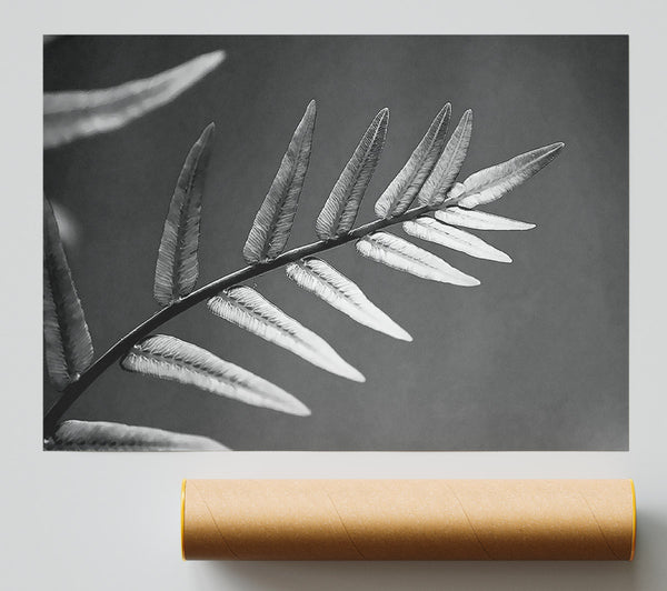 Grey Leaves Giclee Print