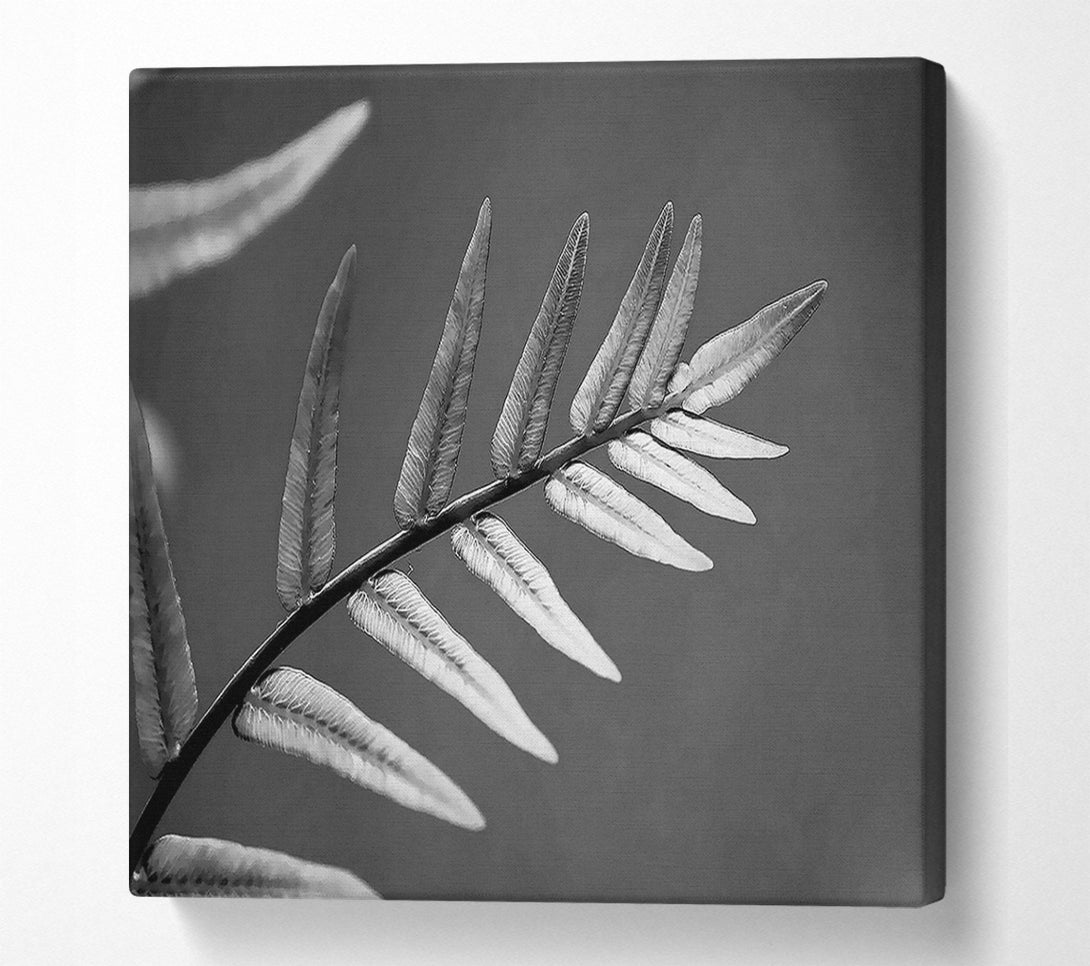  A Canvas Print of Grey Leaves Canvas Wall Art