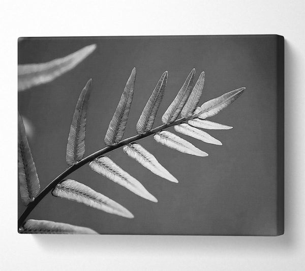  A Canvas Print of Grey Leaves Canvas Wall Art