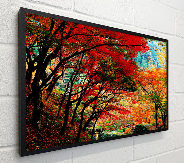 Autumn Tree Delight