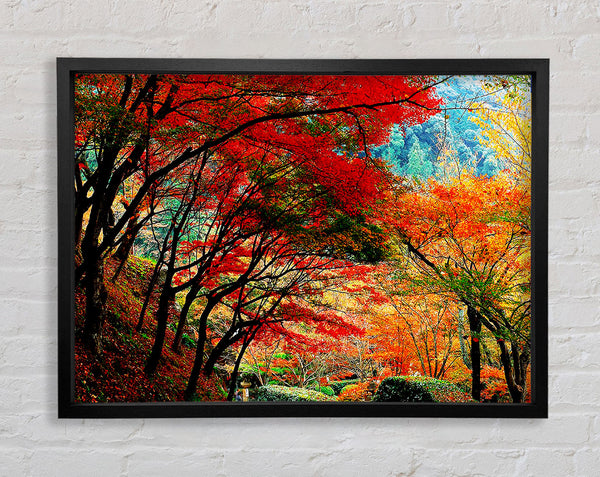 Autumn Tree Delight Framed Print