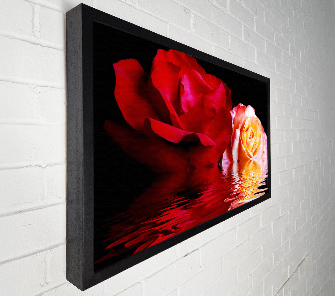  A Canvas Print of The Floating Roses Canvas Print