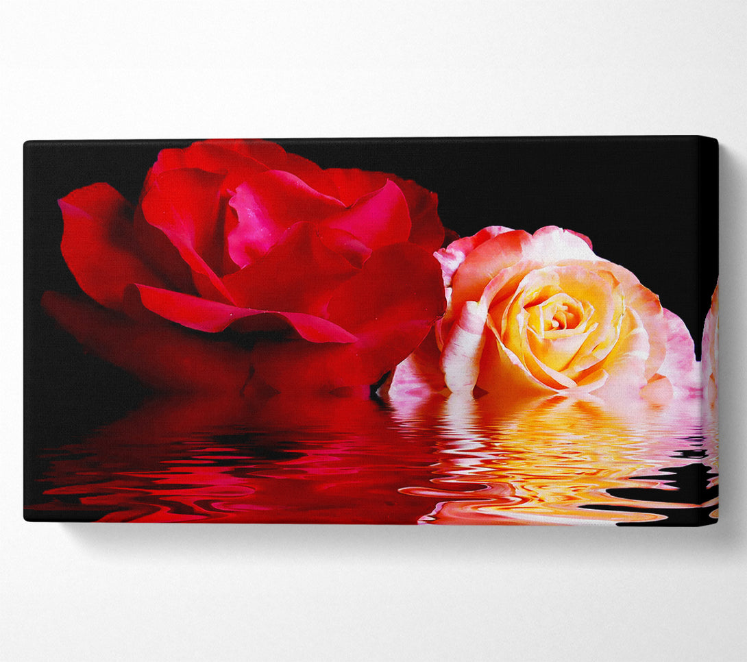  A Canvas Print of The Floating Roses Canvas Print