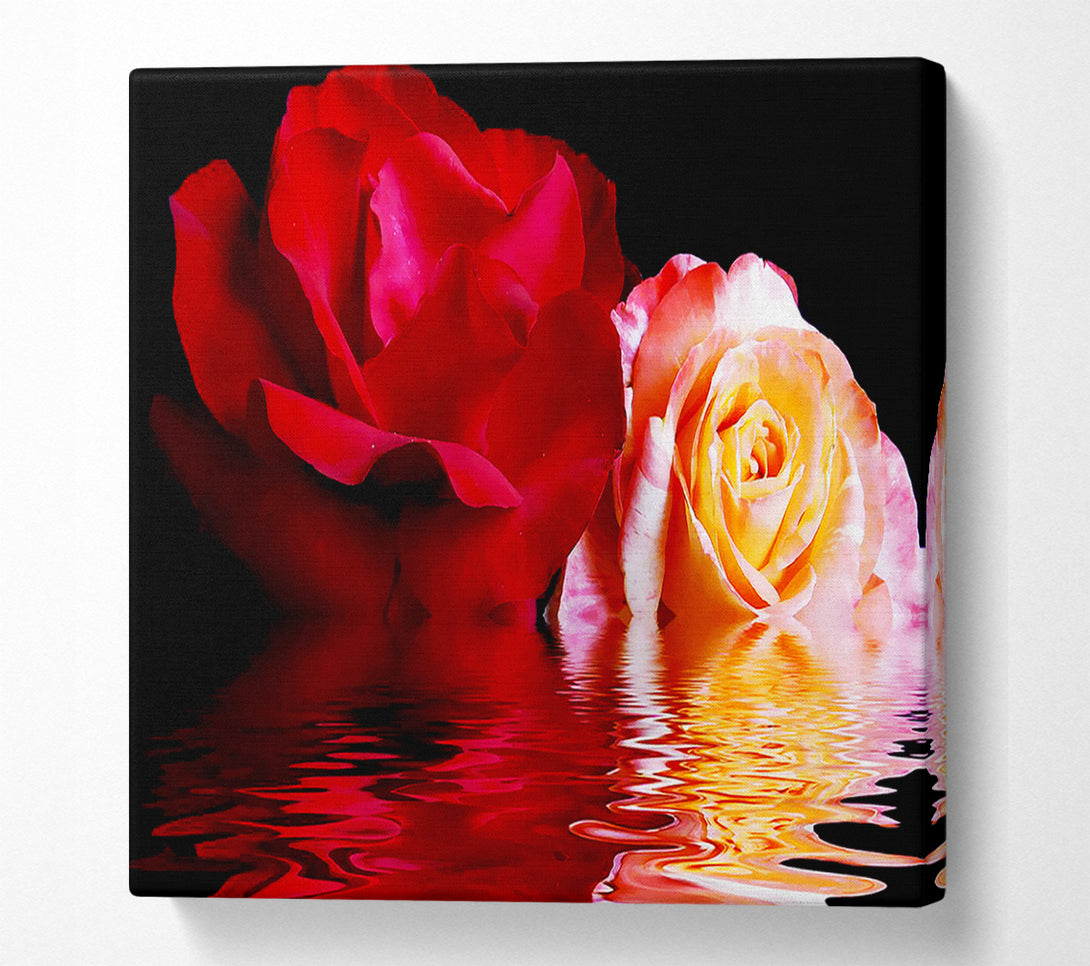  A Canvas Print of The Floating Roses Canvas Print