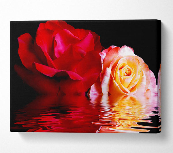  A Canvas Print of The Floating Roses Canvas Print
