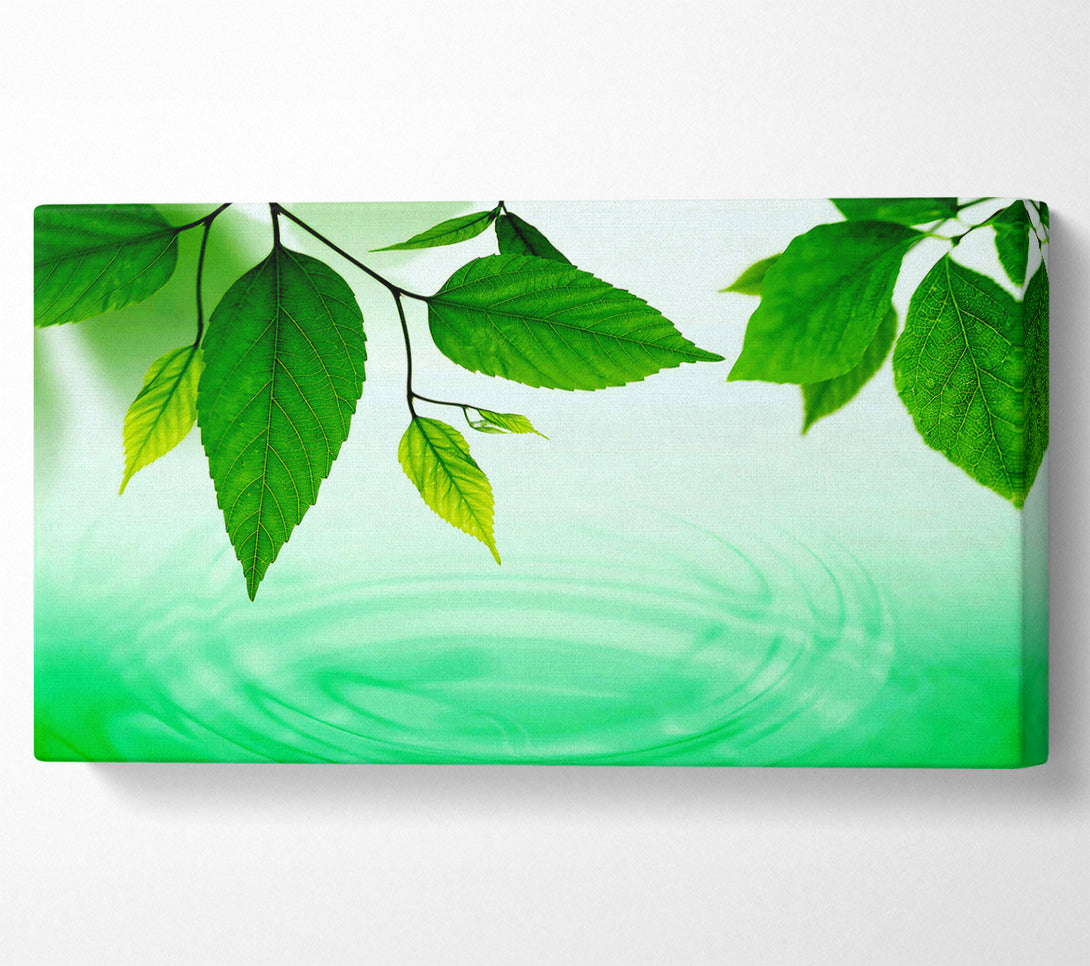  A Canvas Print of Mint Leaves Near The River Canvas Print