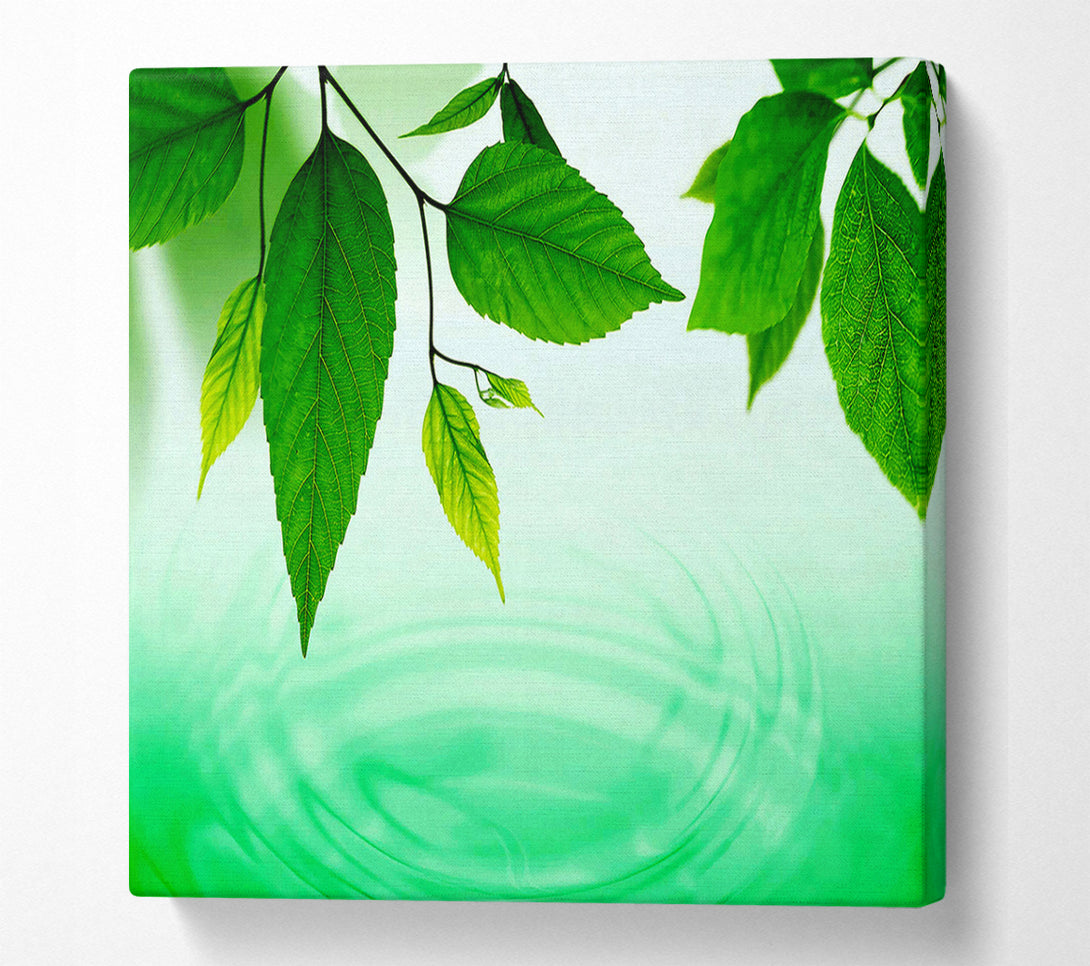  A Canvas Print of Mint Leaves Near The River Canvas Print