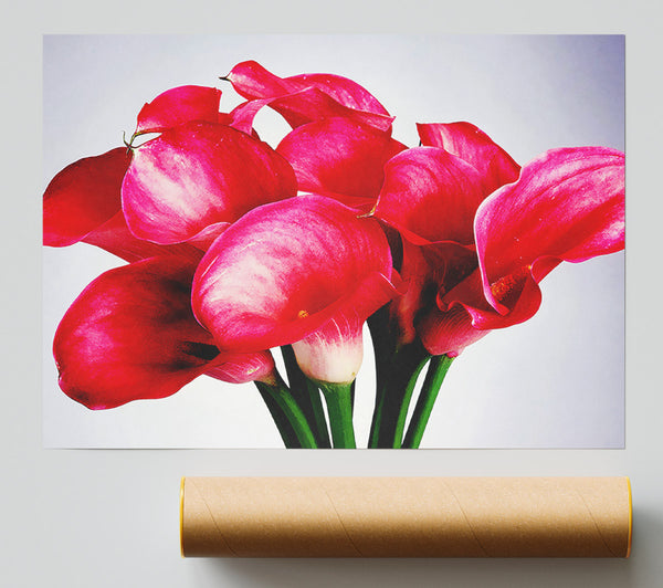Pink Lily Bouquet Print