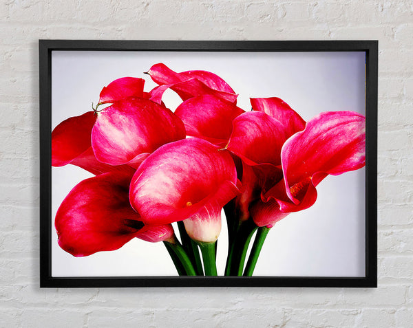 Pink Lily Bouquet Framed Print