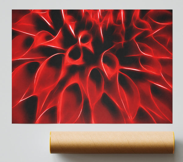 Fire Red Petals Print