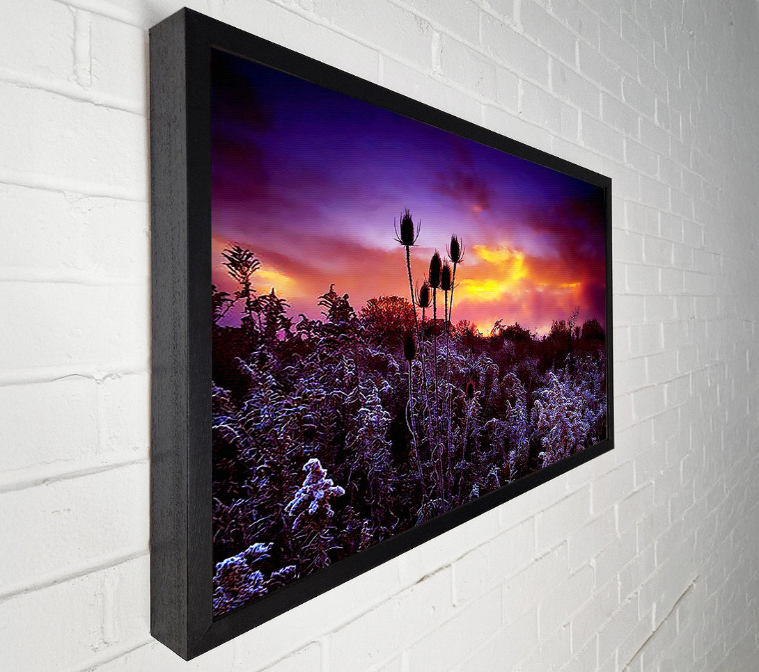  A Canvas Print of Winter Skies Canvas Art