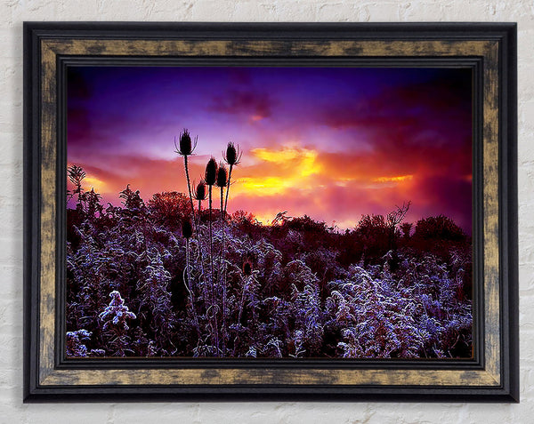 Winter Skies Framed Print