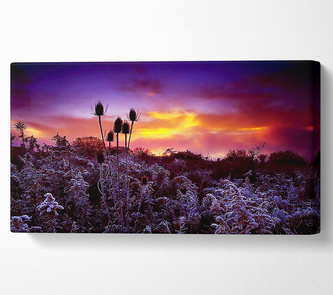  A Canvas Print of Winter Skies Canvas Art