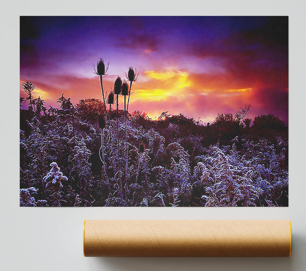 Winter Skies Giclee Print