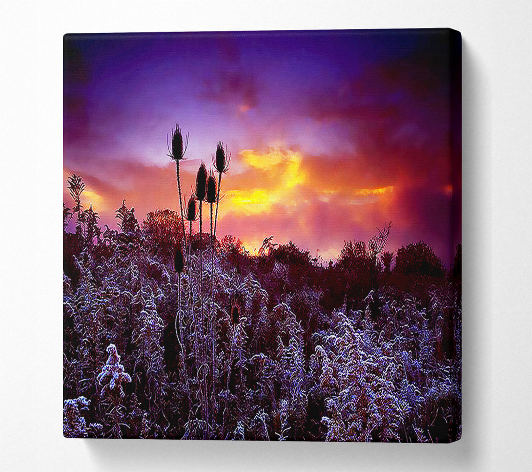  A Canvas Print of Winter Skies Canvas Art