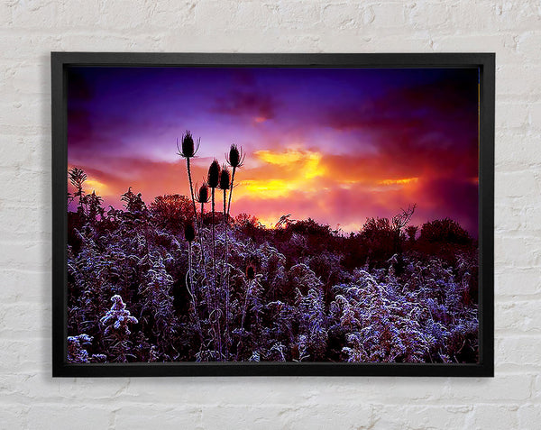 Winter Skies Framed Print