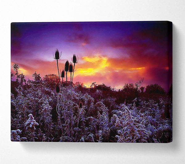  A Canvas Print of Winter Skies Canvas Art
