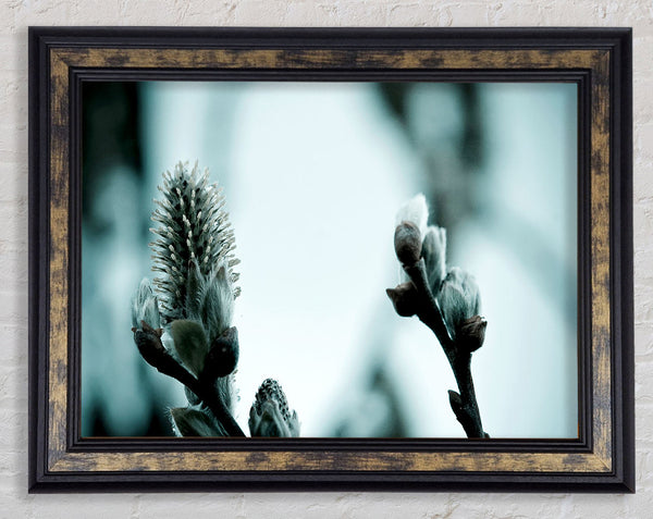 Winter Snow Flowers Framed Print