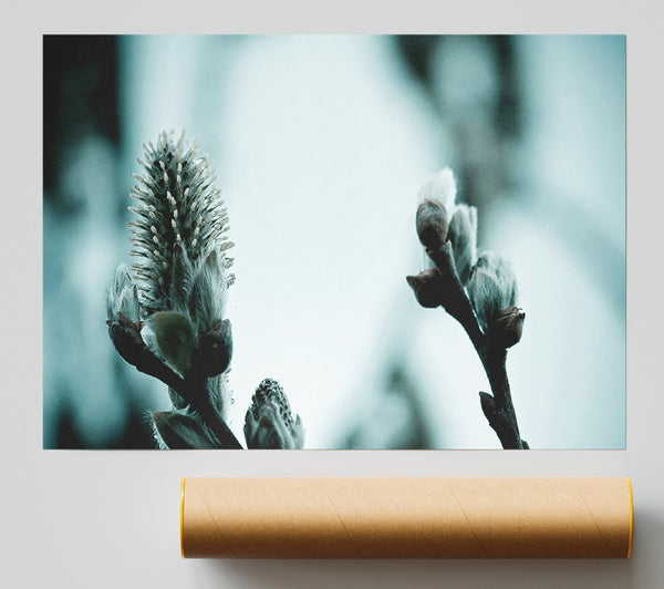 Winter Snow Flowers Poster