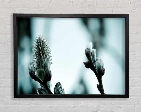 Winter Snow Flowers Framed Print