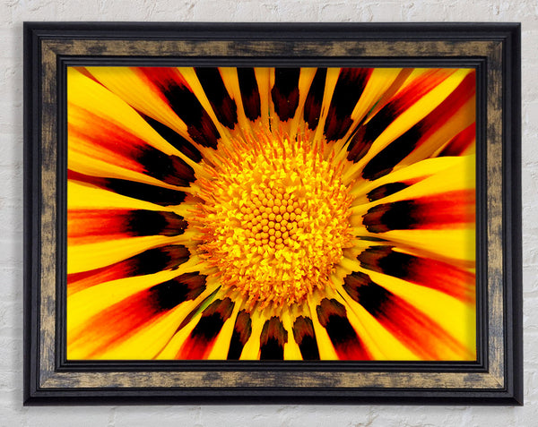 The Centre Of The Sun Framed Print