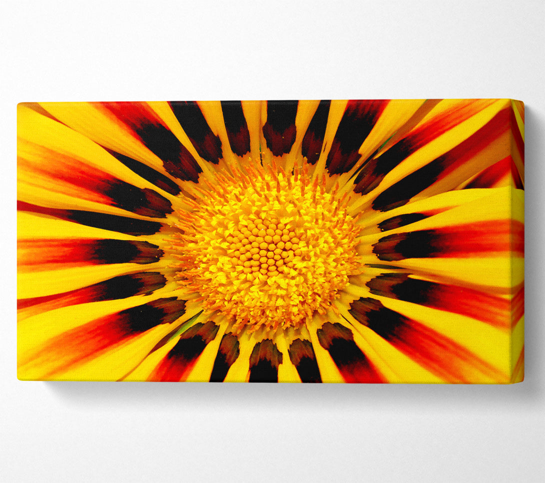  A Canvas Print of The Centre Of The Sun Canvas Art
