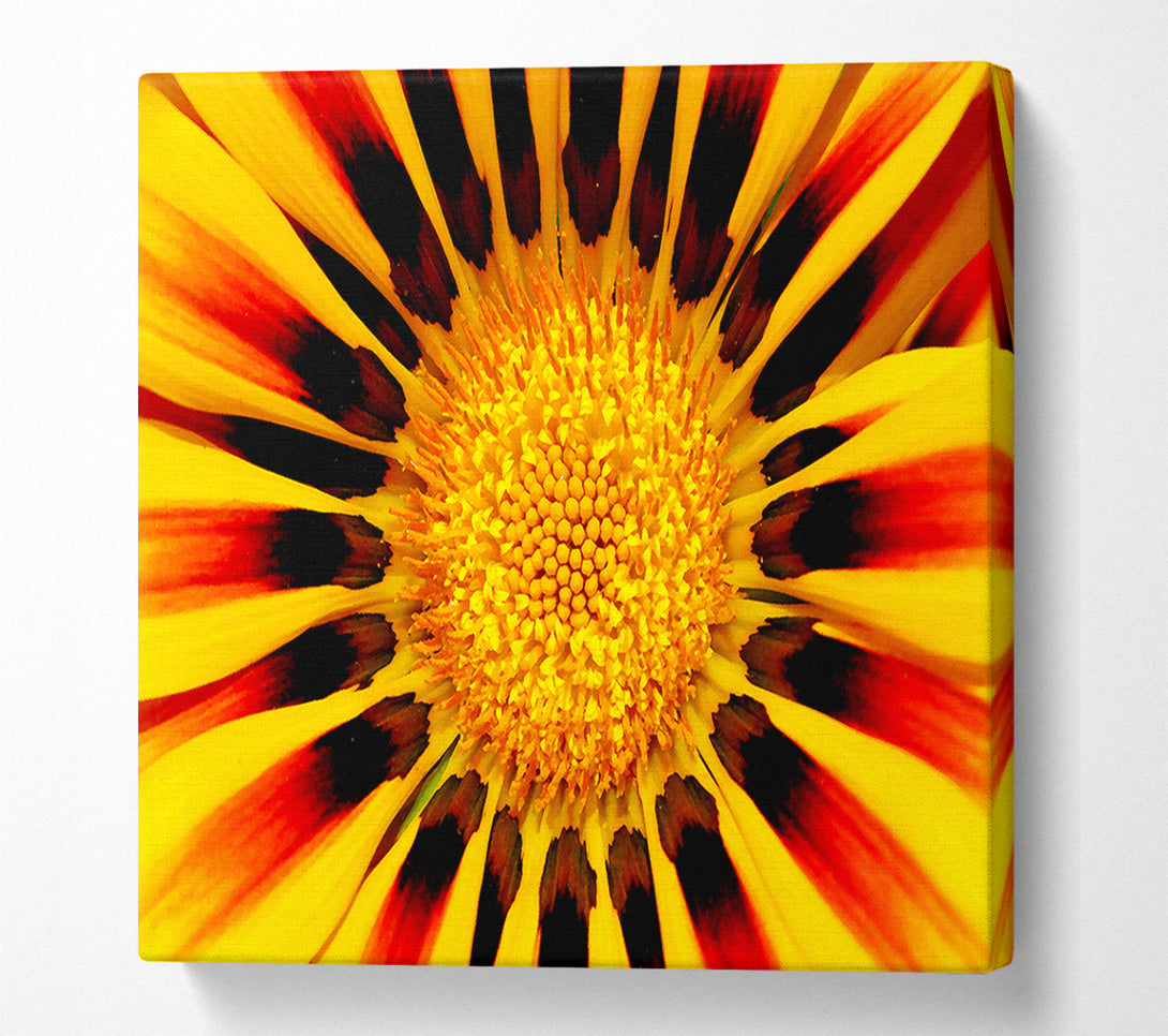  A Canvas Print of The Centre Of The Sun Canvas Art