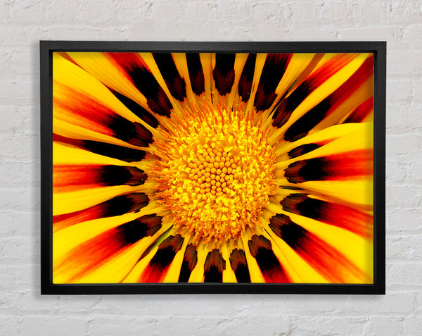 The Centre Of The Sun Framed Print