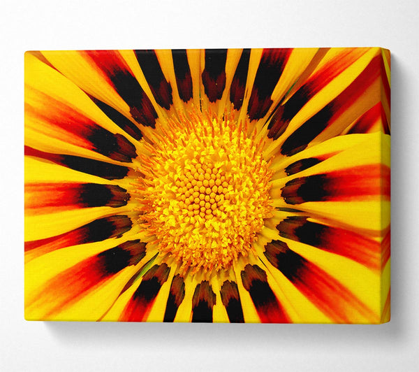  A Canvas Print of The Centre Of The Sun Canvas Art
