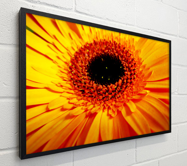 Golden Gerbera Centre