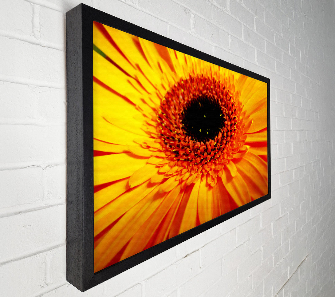  A Canvas Print of Golden Gerbera Centre Canvas Art