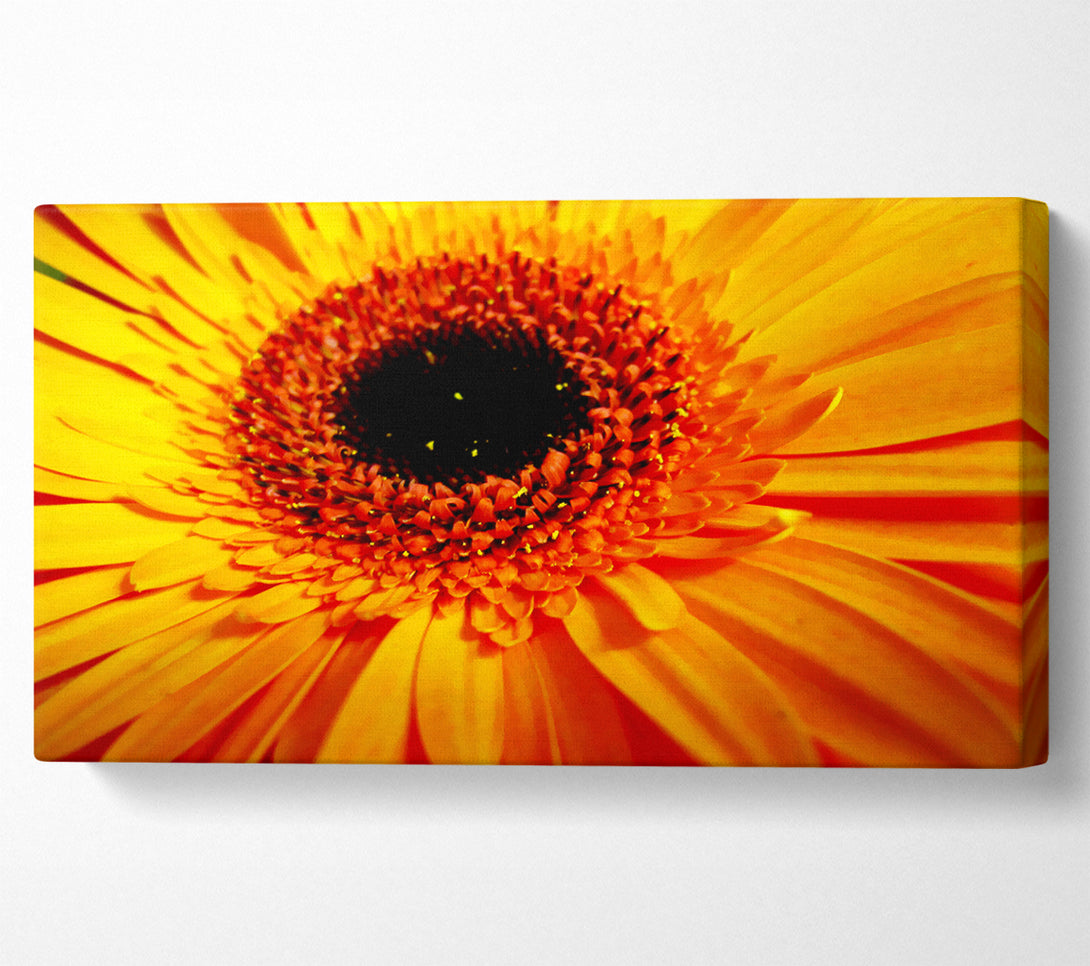  A Canvas Print of Golden Gerbera Centre Canvas Art