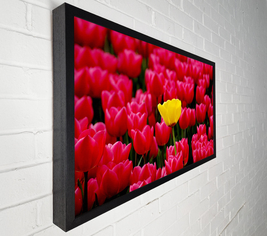  A Canvas Print of Tulips Strenth Canvas Wall Art