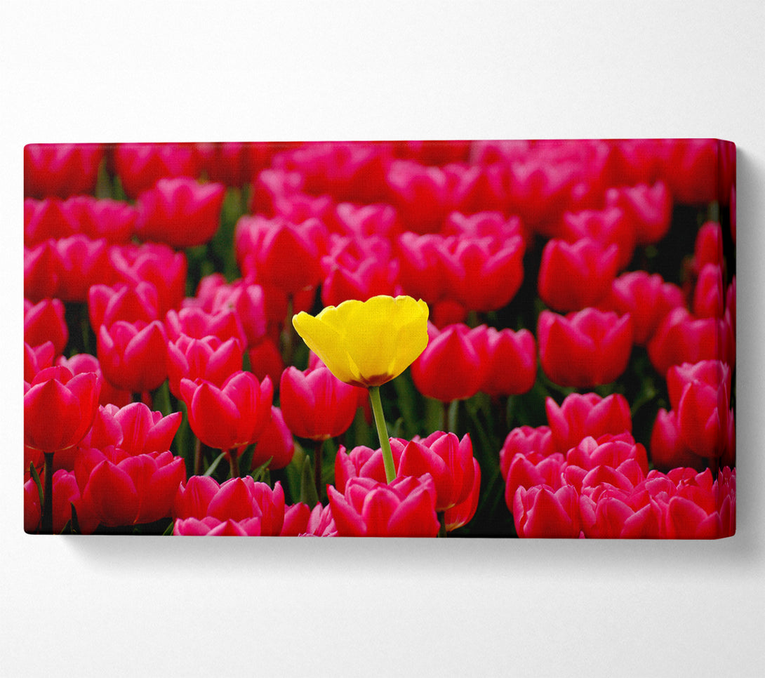  A Canvas Print of Tulips Strenth Canvas Wall Art