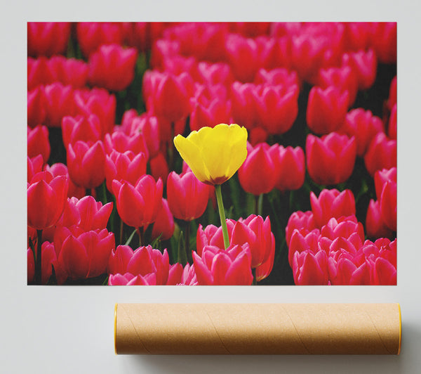 Tulips Strenth Print