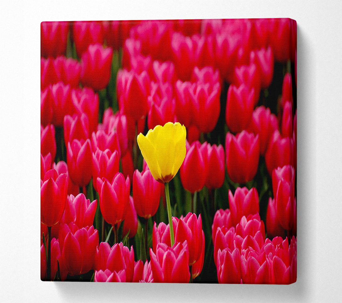 A Canvas Print of Tulips Strenth Canvas Wall Art