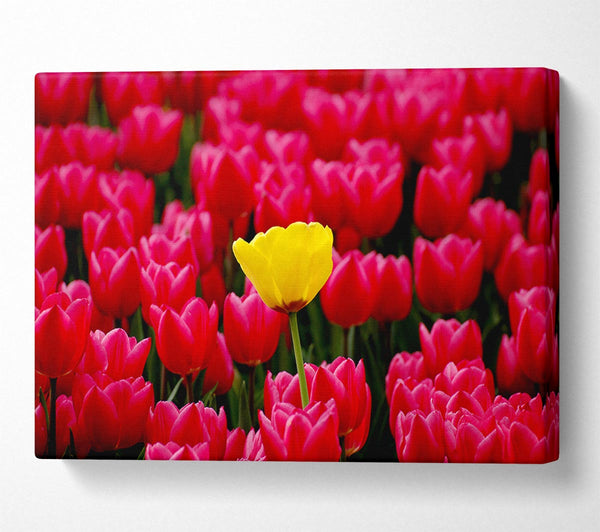  A Canvas Print of Tulips Strenth Canvas Wall Art