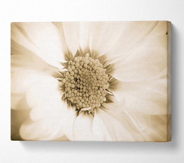  A Canvas Print of White Petal Heaven Canvas Art