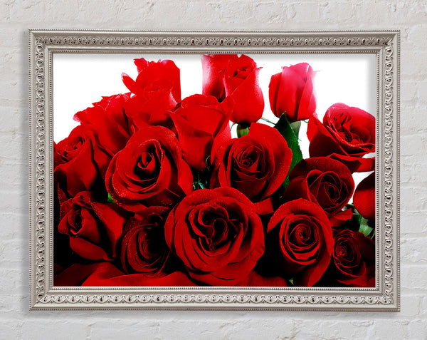 Bouquet Of Red Roses Framed Print