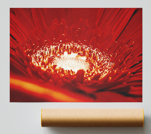 Red Centre Giclee Print