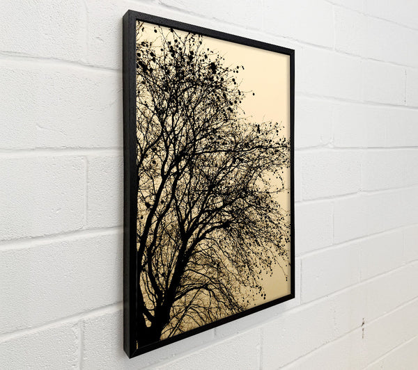 Chocolate Tree