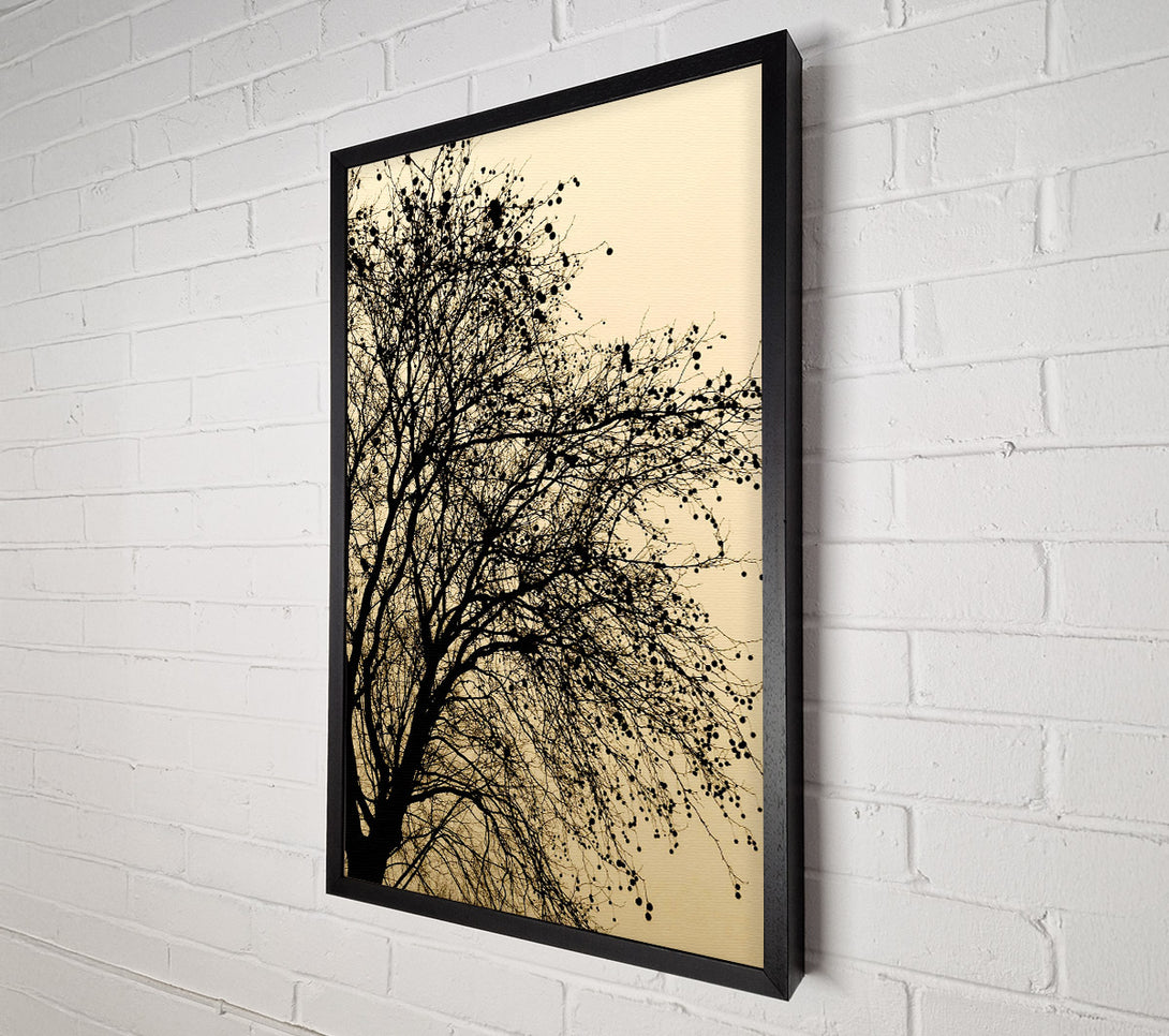  A Canvas Print of Chocolate Tree Canvas Print