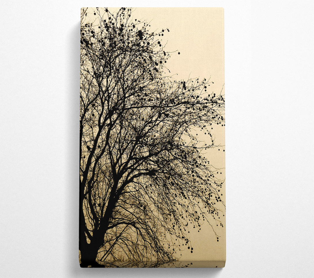  A Canvas Print of Chocolate Tree Canvas Print